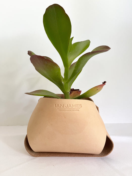 Vegetable Tanned Plant Sheath